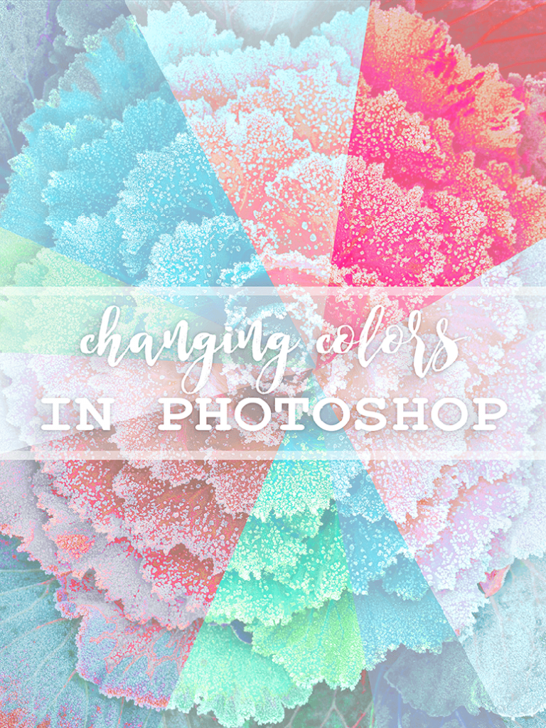 Changing Color in Photoshop - Digital Changing Color in Photoshop - Digital