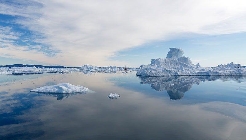 nature stock image - photo of cold frosty weather