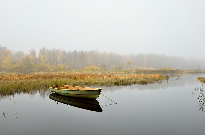 nature stock photo of a boat on foggy water
