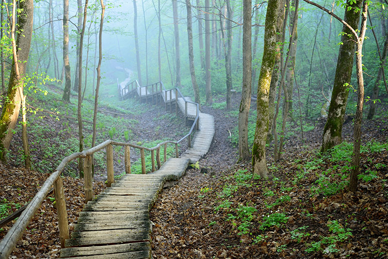 nature stock photos for wanderlust