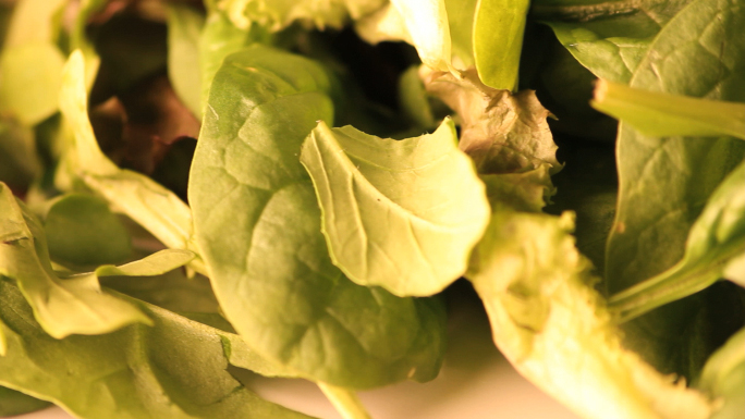 Bright Rotating Lettuce Stock Photo Bright Rotating Lettuce Stock Photo