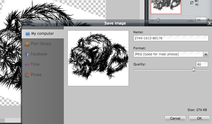 pixlr editor online rotate image