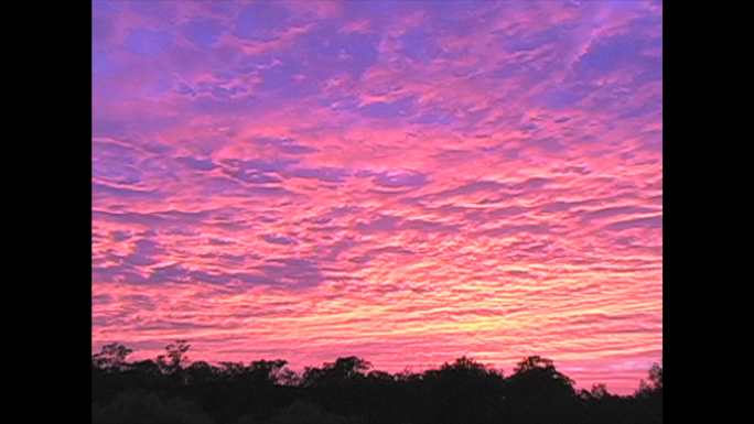 Pink and yellow clouds at sunrise