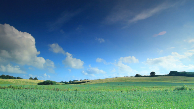 Rolling Grass Hills in Copenhagen, Denmark